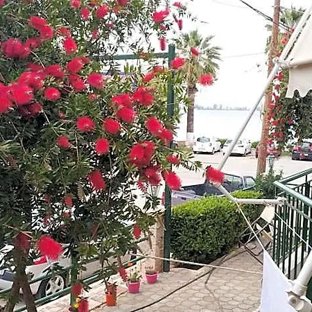 Aparthotel Lerna 3*